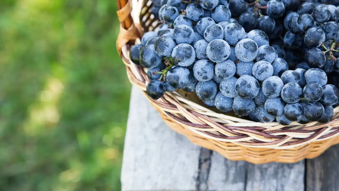 ナチュラルワイン