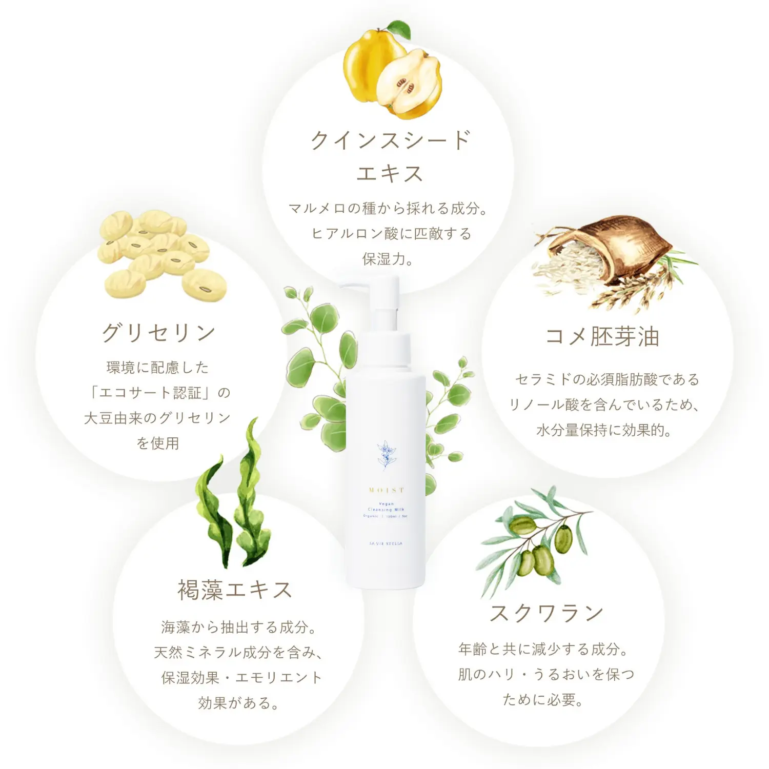 敏感肌,クレンジング,ヴィーガン,オーガニック,ラヴィステラ,おすすめ