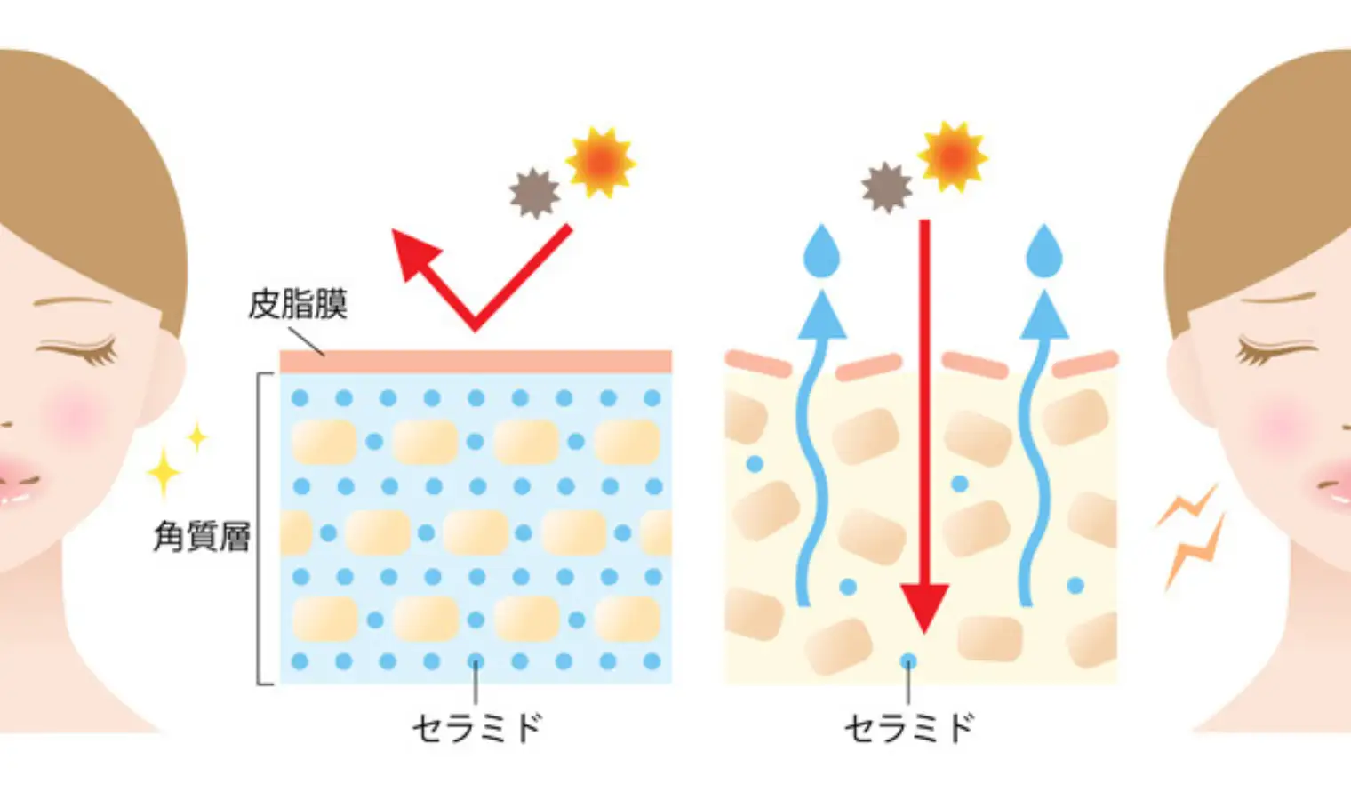 敏感肌,改善,方法,スキンケア,クレンジング,乾燥肌