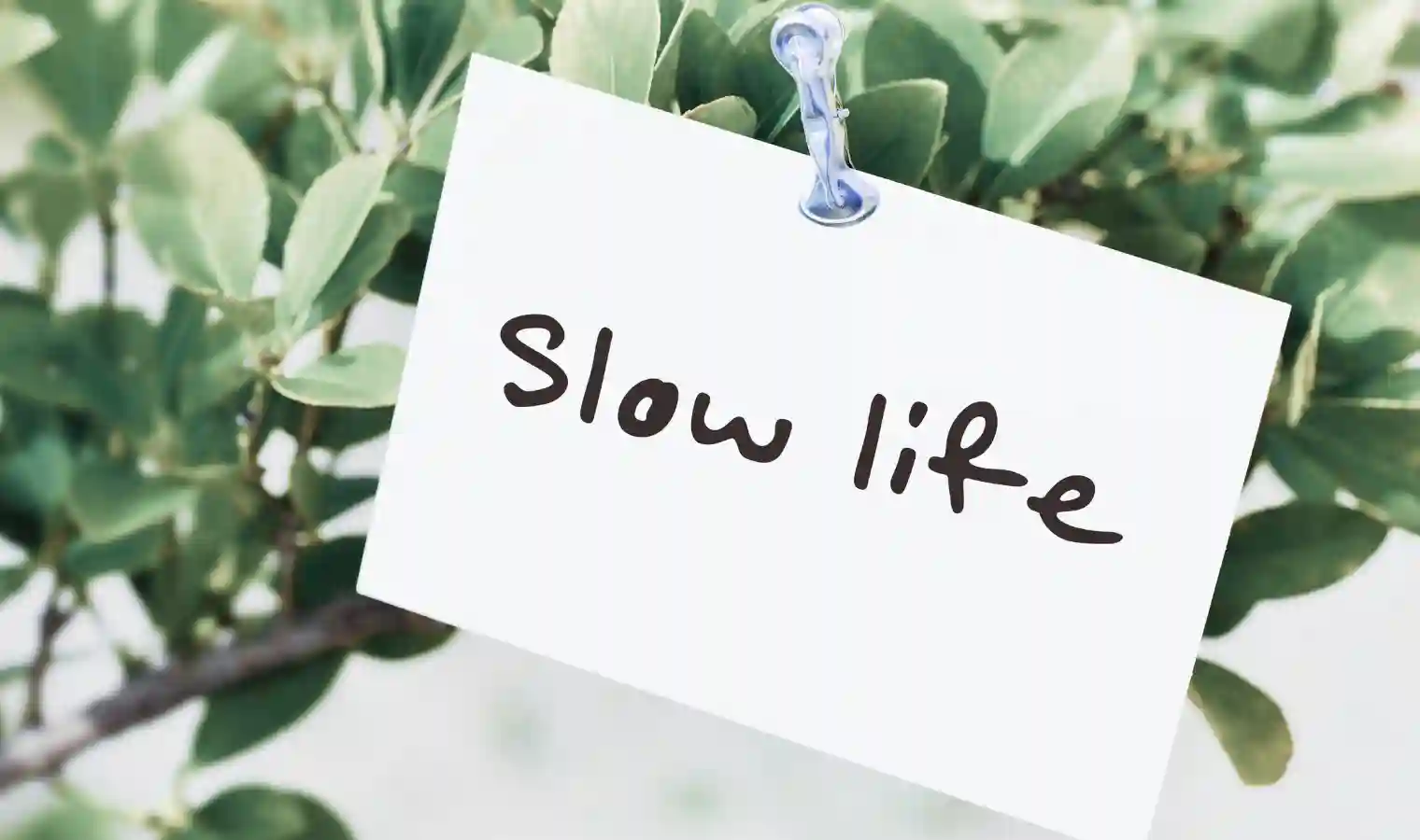 スローライフとは？ストレス社会から解放される丁寧な暮らし方