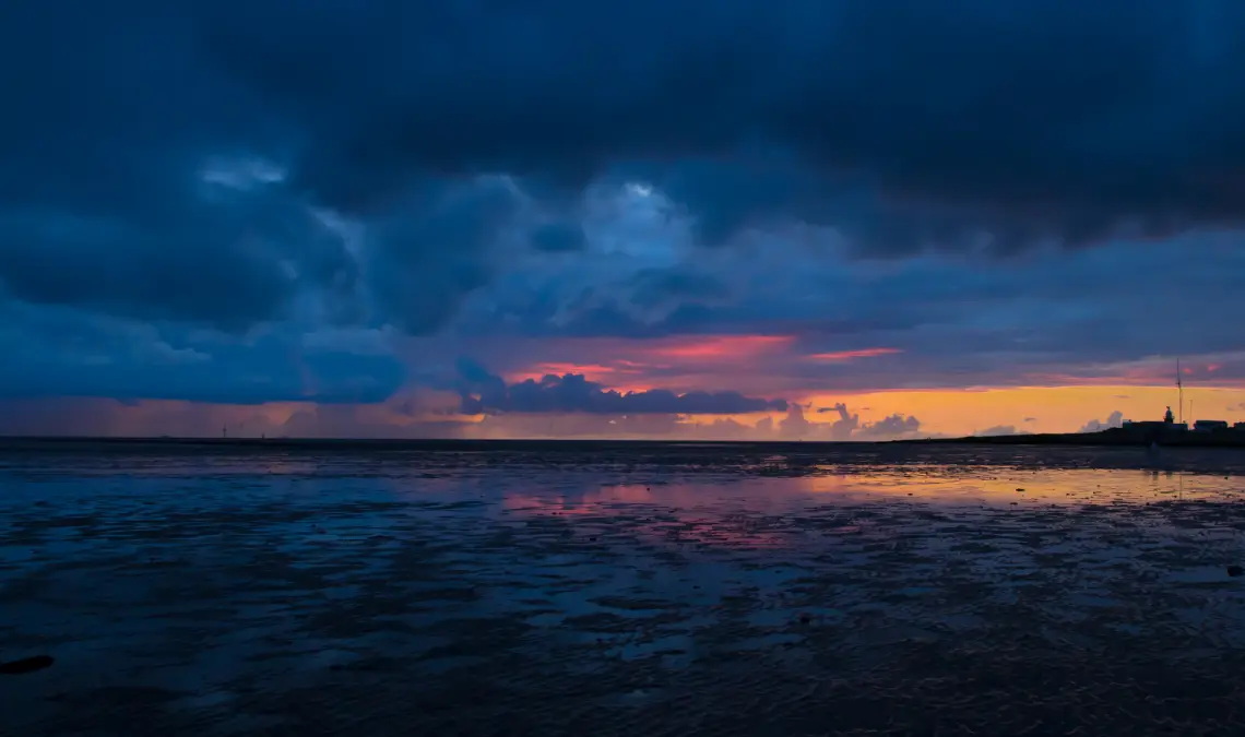 インディゴチルドレン