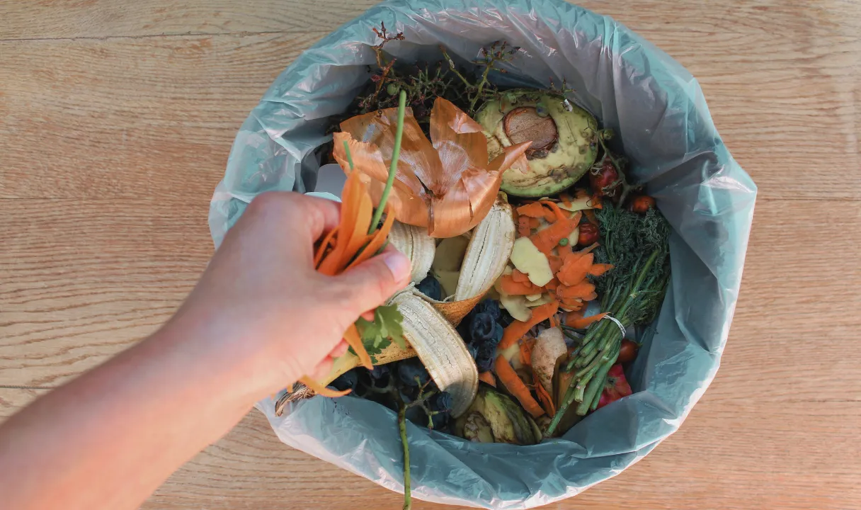 コンポスト,生ゴミ