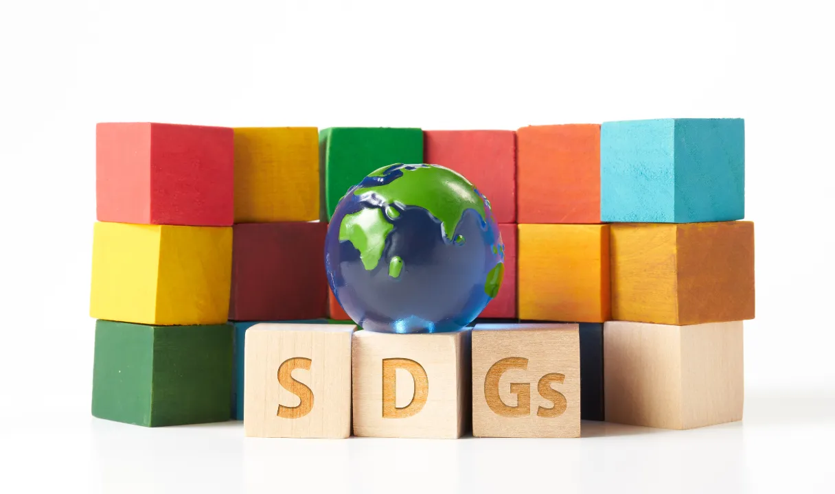 SDGs