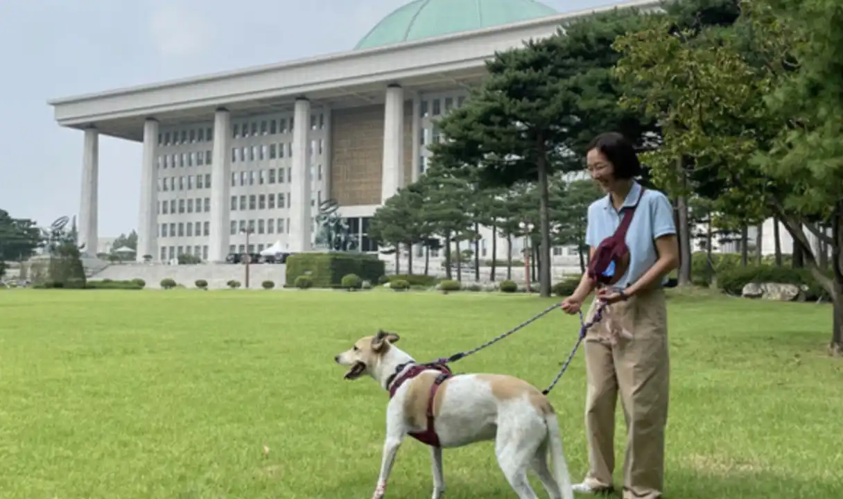 昨年9月19日、犬農場から救助された「トダミ」が犬の食用禁止を求めるイベントに参加し、国会本館の前でポーズを取っている
