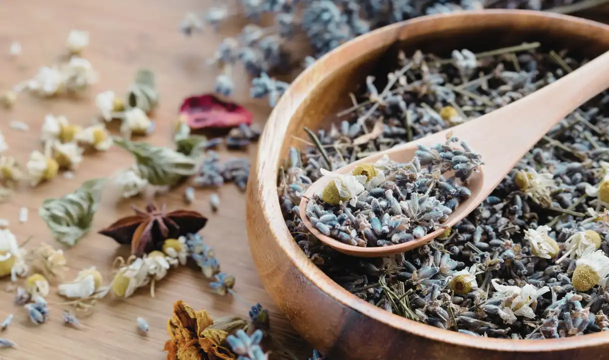 フィトセラピー