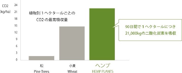 二酸化炭素を吸収する量を松、小麦、ヘンプ（麻）で比較したグラフ