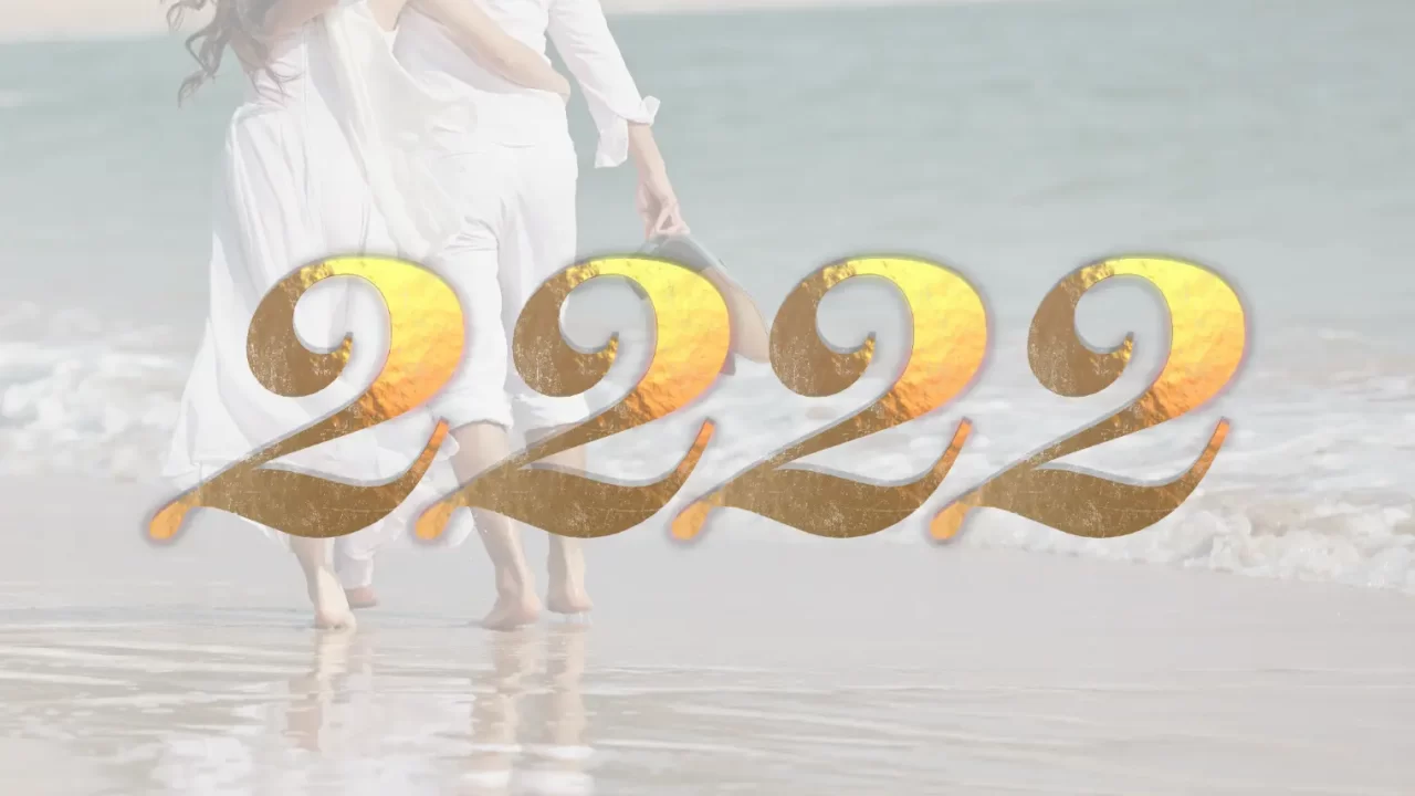 エンジェルナンバー2222,ツインレイ