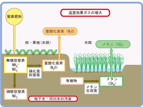 水田と畑から発生する温室効果ガスと水質汚染