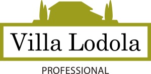 ヴィラロドラのロゴ